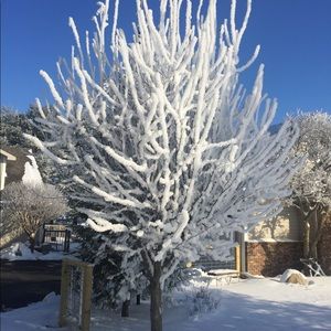 Meet your Posher, Tia